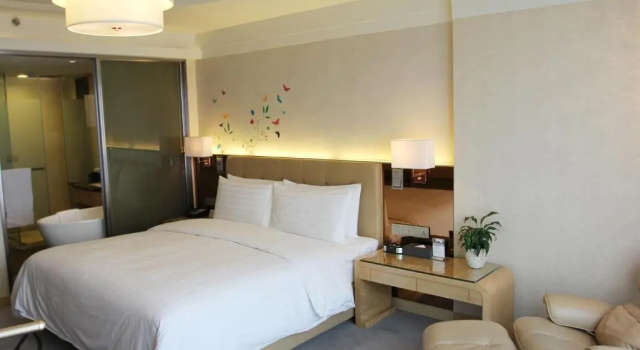 Двухместный номер Executive Floor Superior Pullman Linyi Lushang