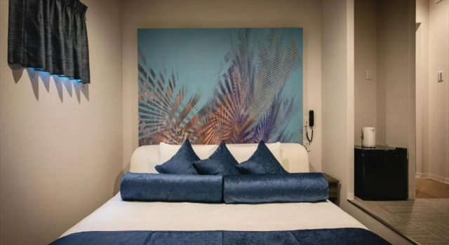 Двухместный номер Standard Design Hotel Blax