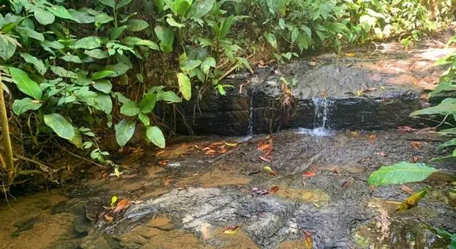 Private jungle “Loft del Rio” river access