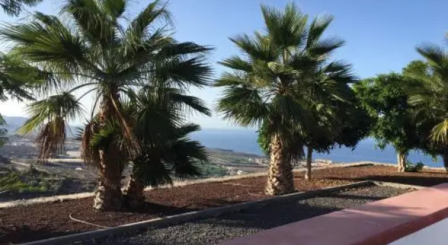 Villa Apartments Amagante, Reservar Apartamento Hotéis em Tenerife com Piscina, Piscina