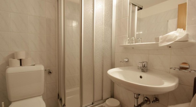 Одноместный номер Standard Erlebnishotel Fendels
