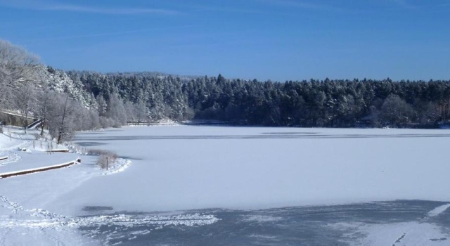 Шале Chalet Le Grand Cerf