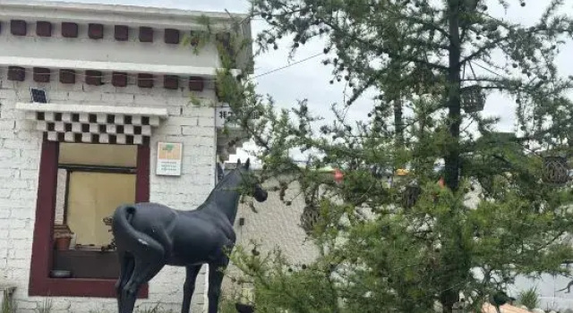Hongyuan Qingfeng Yashe Homestay