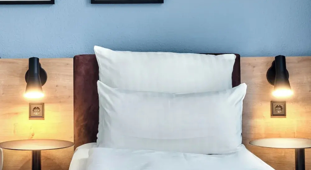 Двухместный номер Comfort Hotel Continental Frankfurt