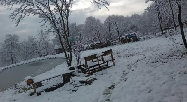 Room in Guest room - Sejour in green garden with lake view for 2 People, Забронировать Гостевой дом Рошия-Монтанэ 