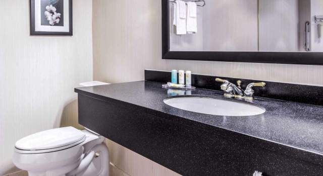 Номер Standard Spark by Hilton Toronto Mississauga