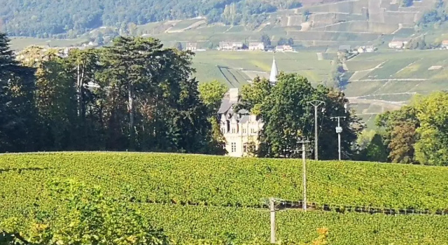 Коттедж с видом на сад Le Temps D'une Pause à Boursault