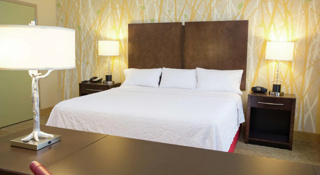 Двухместная студия Hampton Inn & Suites Williamsport - Faxon Exit