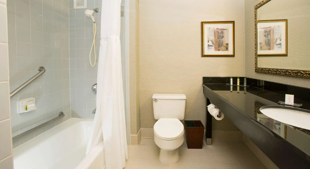 Двухместный номер Standard DoubleTree by Hilton Hotel Detroit Novi