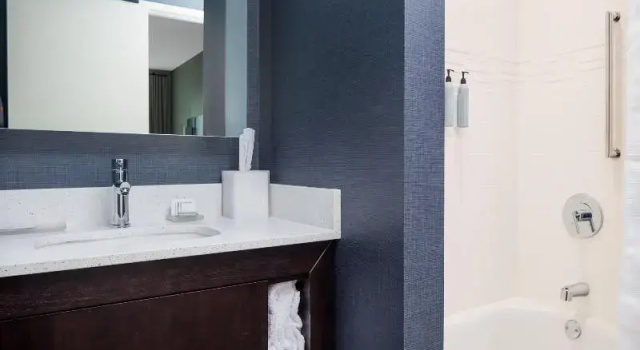 Люкс Residence Inn by Marriott Decatur Emory Area