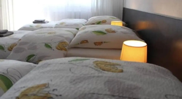 Студия с балконом Studios near Basel Airport - RM 114