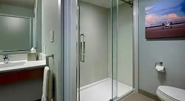 Номер Business Radisson Suites Hotel Toronto Airport