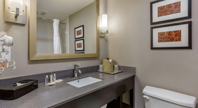 Двухместный люкс Comfort Suites Pineville - Ballantyne Area