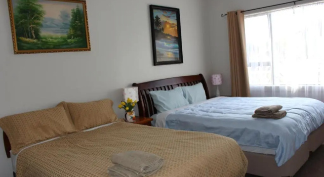 Номер Deluxe Mini Homestay