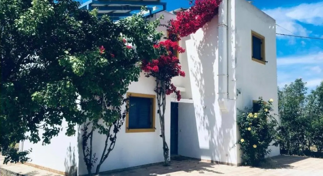 Căsuță 3 camere Electra Village House