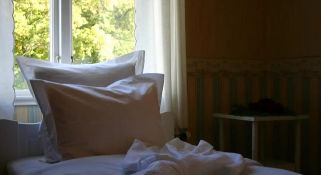 Номер Standard Hellefors Herrgård