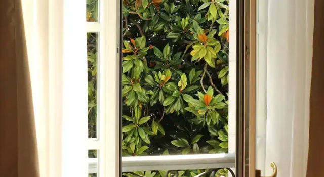 Номер Presidential HOTEL BOUTIQUE VILLA DEL MARQUÉS