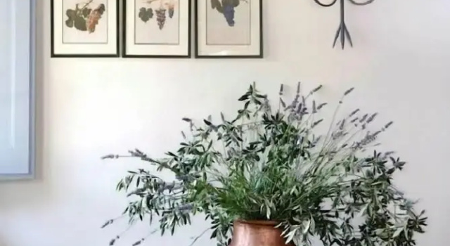 Agriturismo Pian del Tevere