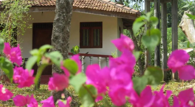 Calm Garden Cabanas, Забронировать Курортный отель Тангалла Хамбантота