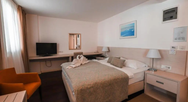 Двухместный номер для гостей с ограниченными возможностями Hotel Borovnik