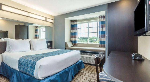 Двухместный номер Standard Microtel Inn & Suites by Wyndham Spring Hill/Weeki Wachee