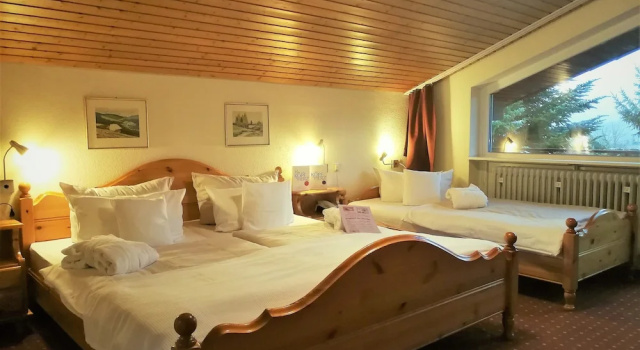 Трёхместный номер Standard Forsters Schwarzwald Hof - Resort-Hotel&Pension