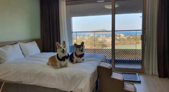 Двухместный номер Deluxe Hi Jeju Hotel