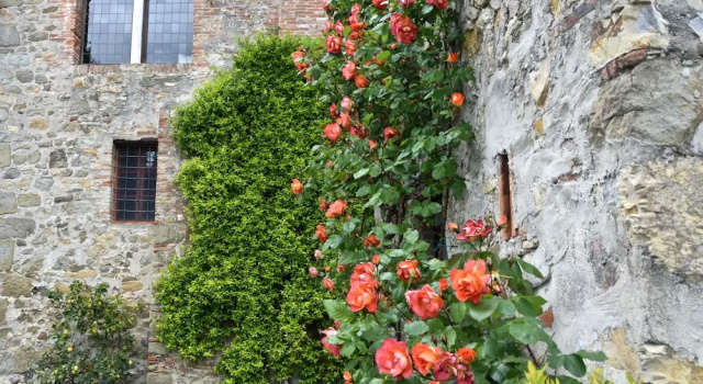 Palazzina del Chiasso B&B