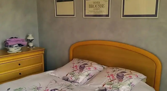 la villa des chats, Брондау Вилла Andresy Ile de France