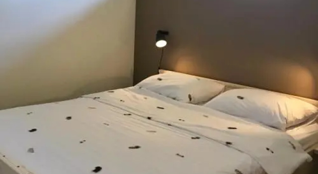 Camping Lagewald Vakantiehuis, Rezervasyon Kamp Alanı Gelderland Kamp Alanları, Kamp Alanı
