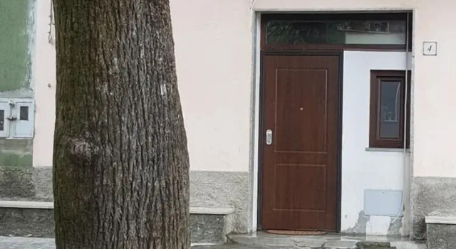 Casa Nostra