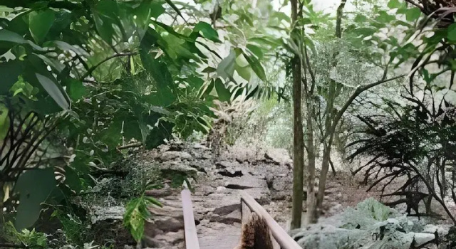 Бунгало Tumbo de las Olas