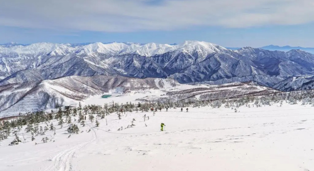 Апартаменты Angel Resort Yuzawa 311