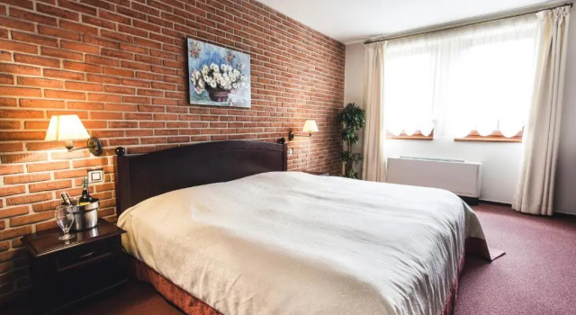 Номер Standard Hotel Purkmistr Beer & Spa Resort