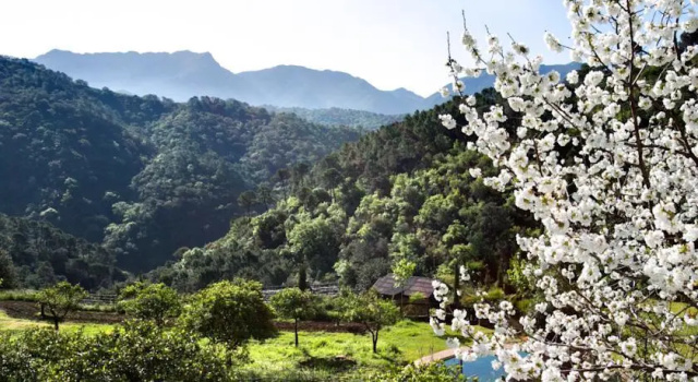 Casa Rural el Balatin, Забронировать Отель Истан Sierra de las Nieves