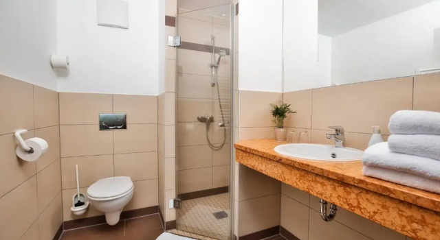 Двухместный номер Standard с видом на горы Berghotel Mooshütte im Skigebiet Grosser Arber