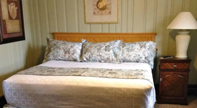 Номер Standard с видом на горы Mount Blue Motel