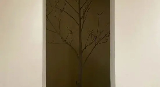 Yunmu Boutique Hostel (Chongqing Photovoltaic Park), Забронировать Хостел Хостелы Чунцин, Хостел