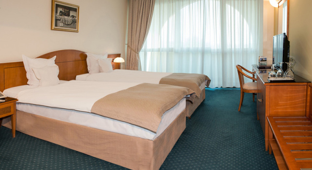 Standard cameră Aleksandar Palace Hotel