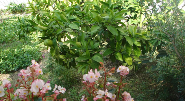 Zdravko - 150 m From Sandy Beach - SA2, Boek Hotel Omiš Split Region