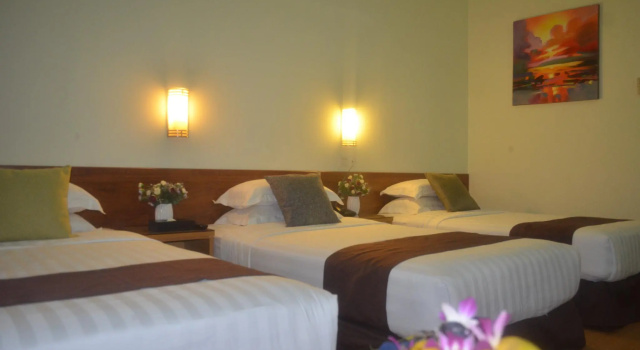 Трёхместный номер Superior Tang Dynasty Park Hotel