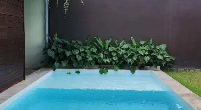 Ocean View Villa with Rice Field View