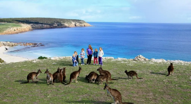Waves & Wildlife Cottages Kangaroo Island, Забронировать Отель Сигнет-Ривер Южная Австралия