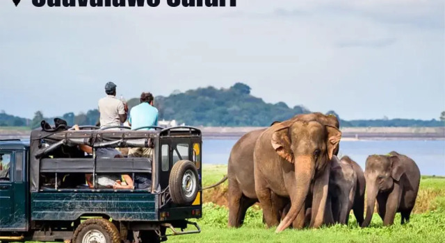 Villa184, Забронировать Отель Ахунгалла Округ Галле