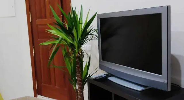 Апартаменты Cozy Apartment in the Heart of Lisbon