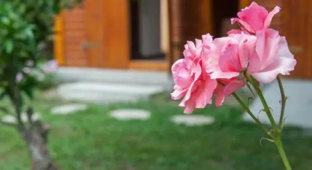 Family Holiday Apartment with garden & BBQ, Забронировать Апартаменты/квартира Велонадес Корфу