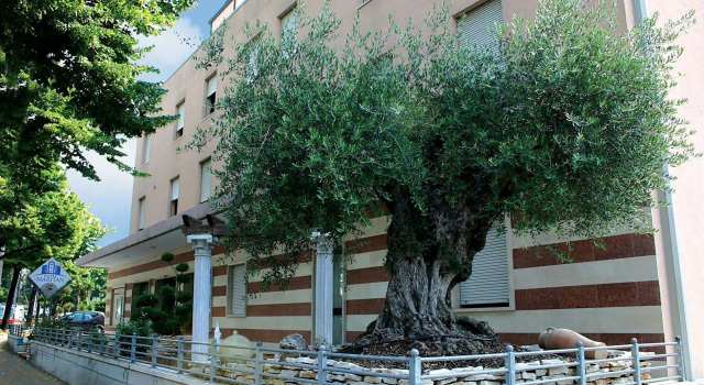 Maritan Hotel & Spa