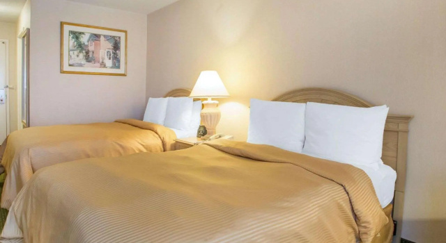 Четырёхместный номер Standard La Quinta Inn & Suites by Wyndham South Holland