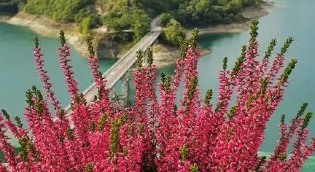 La terrazza sul lago Turano, Varaa Hotelli Castel di Tora 