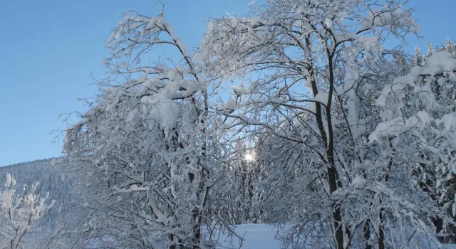 Ferienwohnungen Steidl, Забронировать Апартаменты/квартира Апартаменты Hochpustertal Valley, Апартаменты/квартира